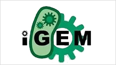 igem